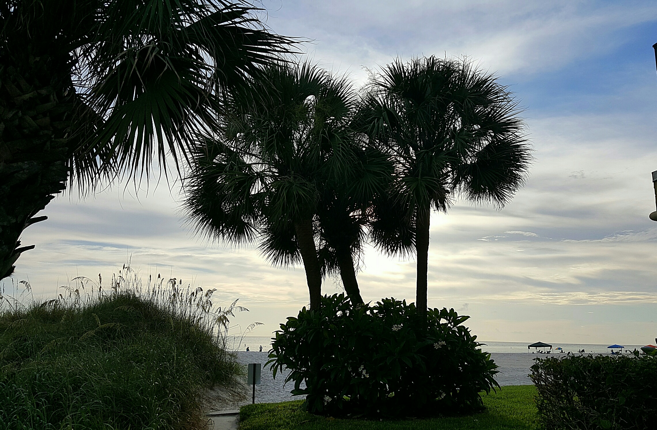 img_20160730_193907_resized