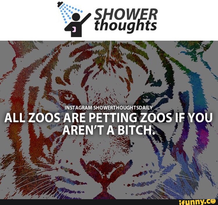 16195211_10210499485714801_3201323565700268425_n